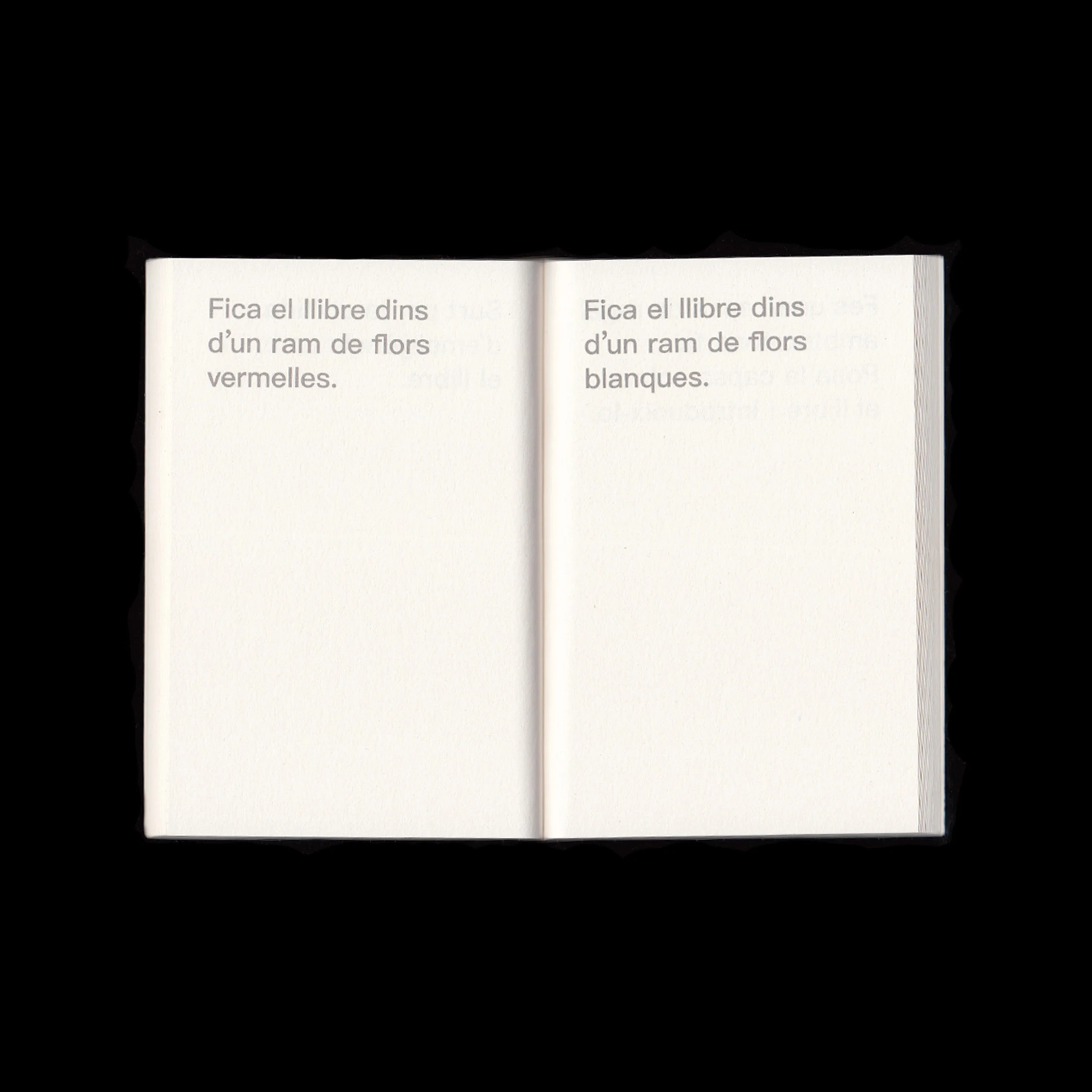 Slide NaN of 7: Image of Com pispar llibres